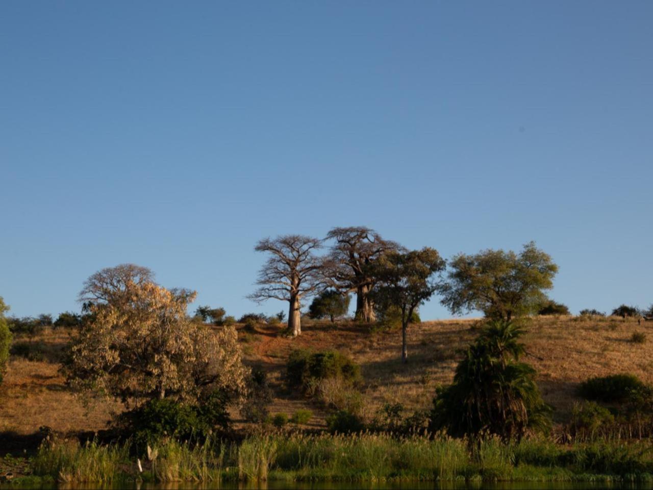 Kayova River Lodge Ndiyona Buitenkant foto